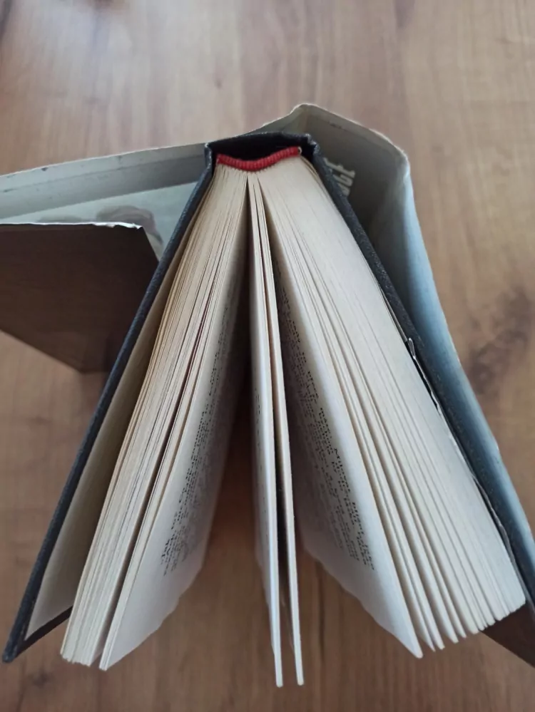 DINAH NELKEN - Z celého srdce