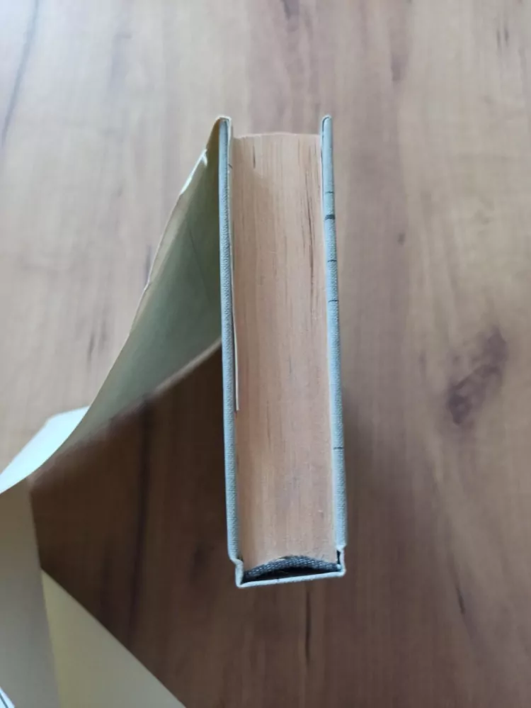 JOHN IRVING - Svět podle Garpa