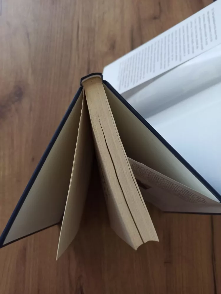 MICHAEL PALMER - Druhý názor