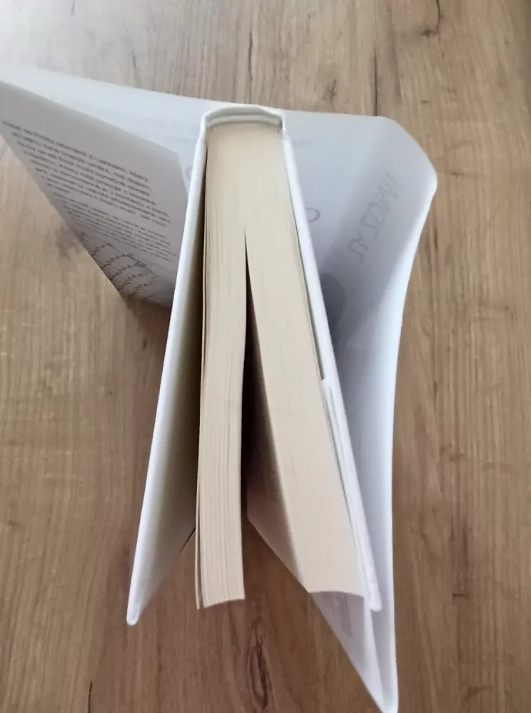 HOLLIE OVERTON - Za zdmi