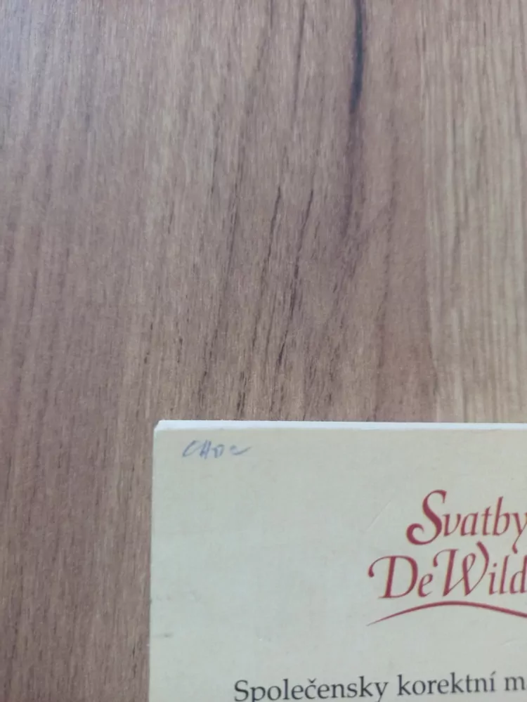 JUDITH ARNOLD - Tajemný cizinec