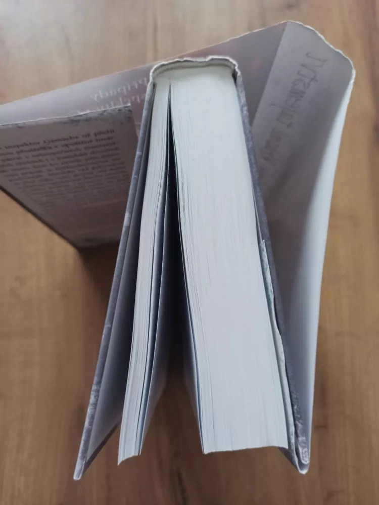LOUISE PENNY - Případy vrchního inspektora Gamache 8. - Krásné tajemství