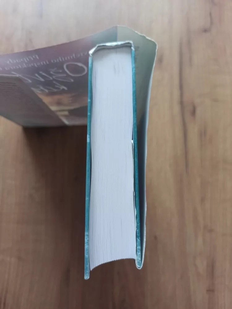 LOUISE PENNY - Případy vrchního inspektora Gamache 4. - Oživlý kámen