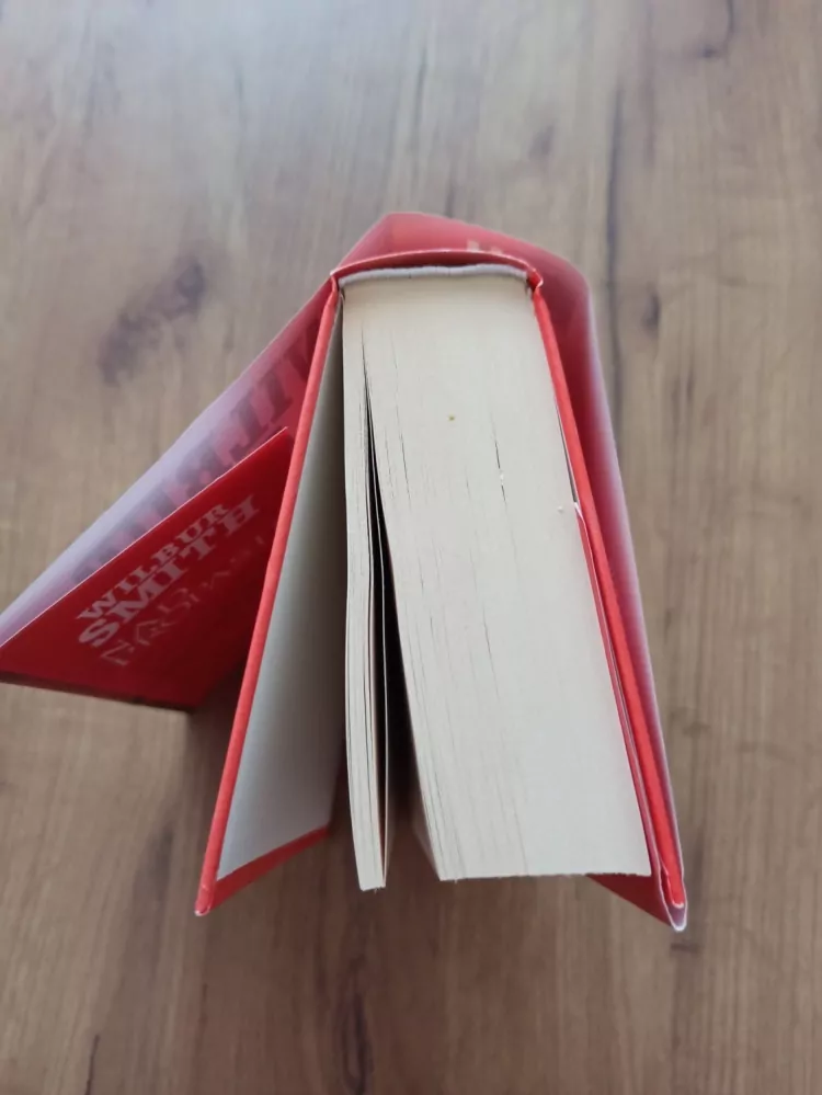 WILBUR SMITH, DAVID CHURCHILL - Nad propastí