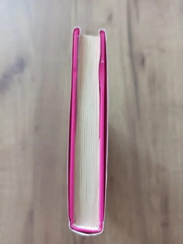 JACQUELINE WILSON - První nástrahy