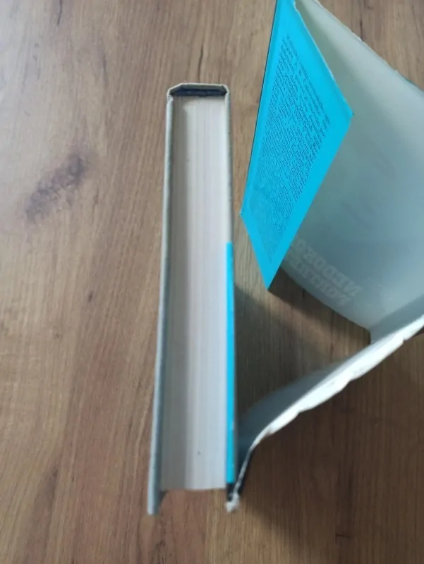 ALEXANDR BORISOVIČ ČAKOVSKIJ - Nedokončený portrét – Poslední dny F.D. Roosvelta