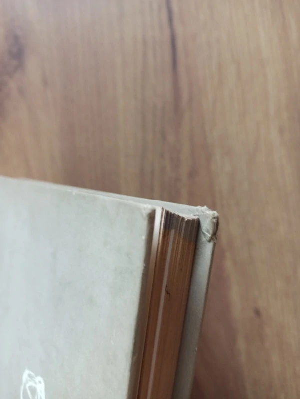 HELENA LIVOROVÁ, DANICA FÜRLOVÁ-VOTAVOVÁ, BLAŽENA PETROVÁ - Základy umělecké gymnastiky