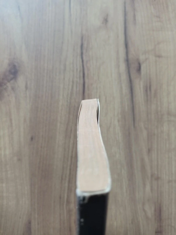 PETR RADOSTA - Noci nad Německem