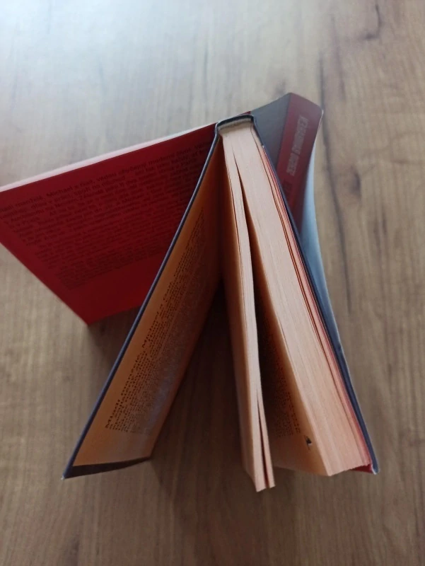 SERGIO BAMBARÉN - Vítr dálek