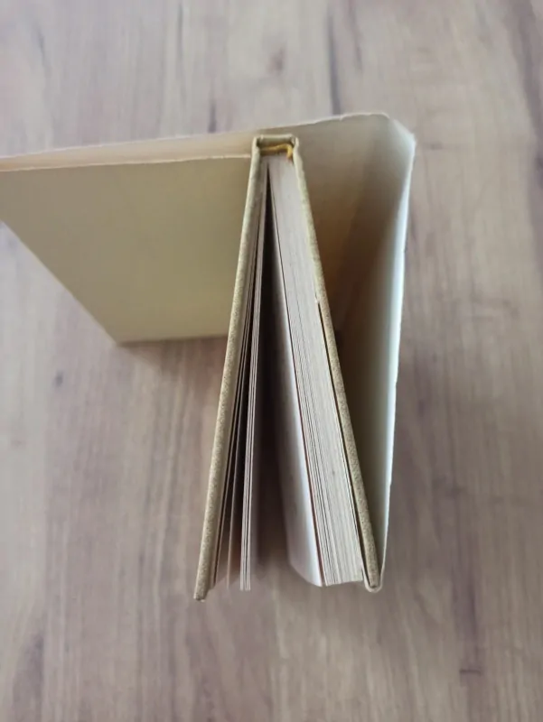 ALEXANDR IVANOVIČ KUPRIN - Sulamit