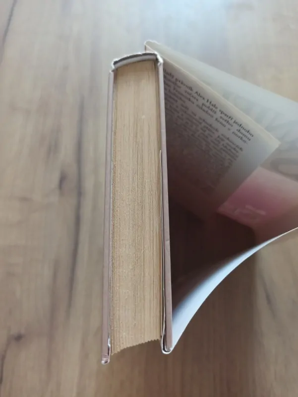 DANIELLE STEEL - Cizí žena