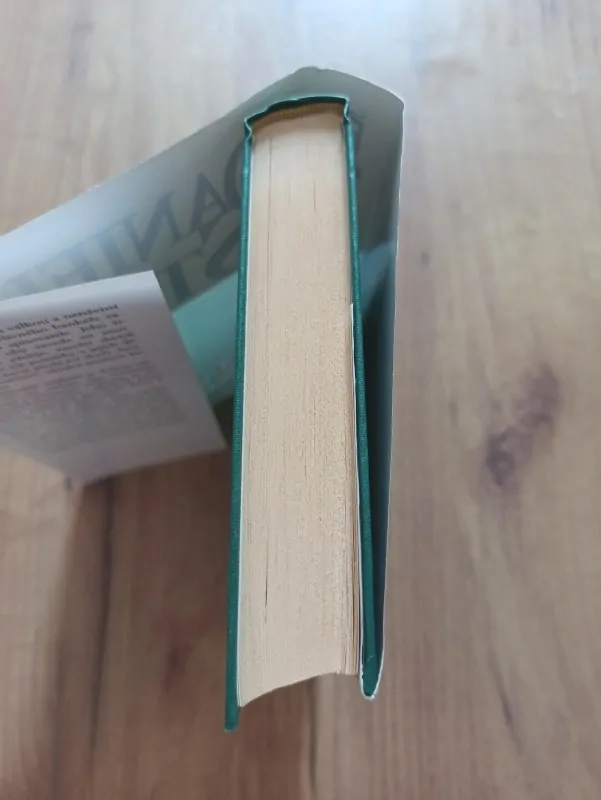 DANIELLE STEEL - Prsten