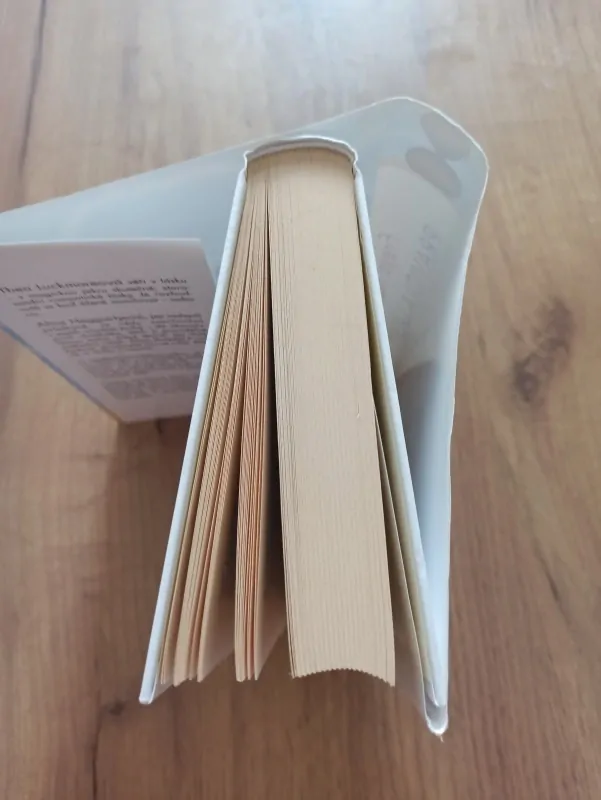 FREYA NORTH - Pravidla lásky