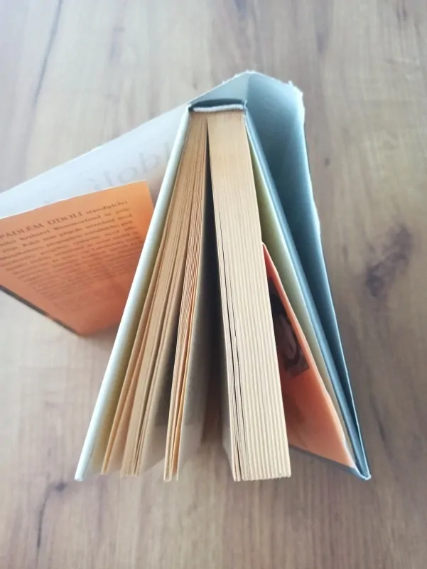 SARAH HALL - Údolí zkázy