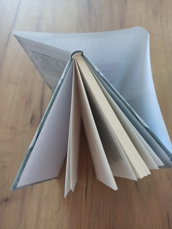 HANIF KUREISHI - Vůbec nic