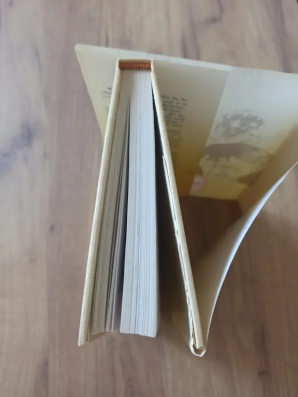 RAY RIGBY - Pahorek z písku