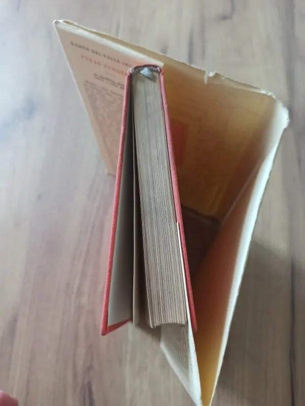 RAMÓN DEL VALLE-INCLÁN - Tyran Banderas