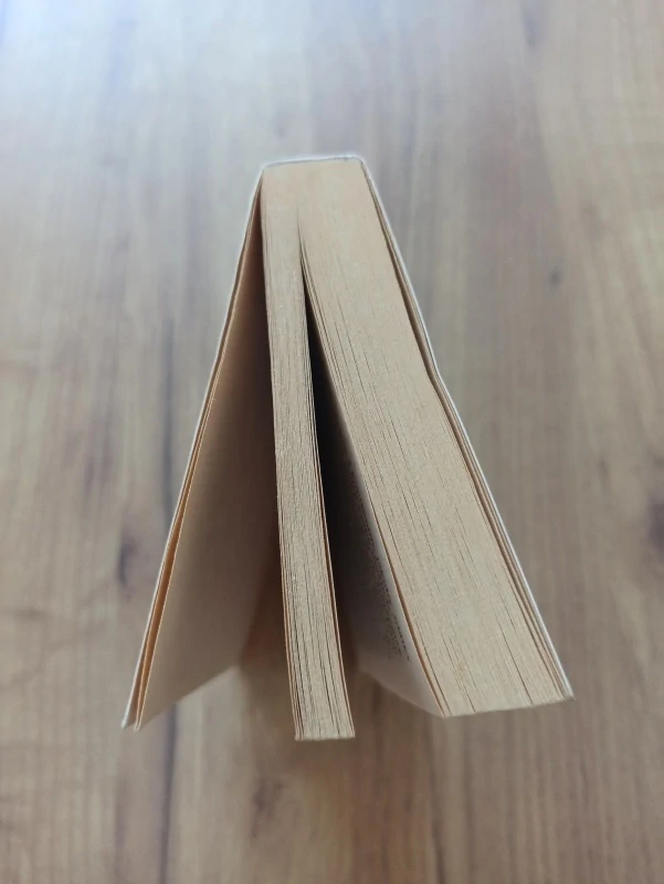 ROBERT ERVIN HOWARD - Conan: A zrodí se čarodějka... a jiné povídky