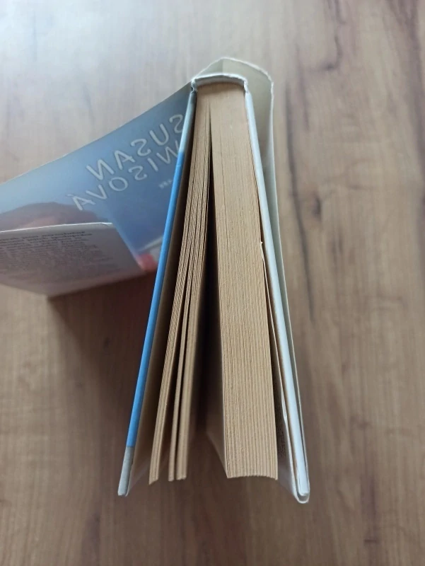 SUSAN LEWIS - Letní šílenství