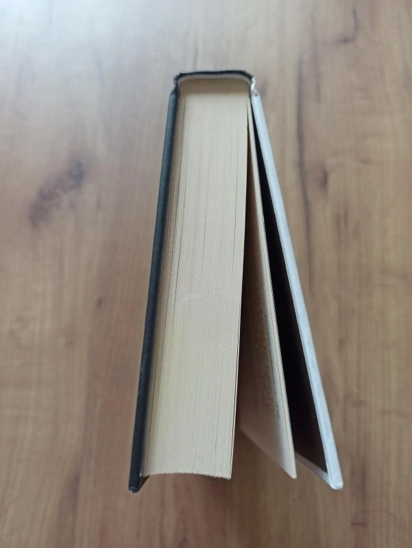 JAN ELLISON - Drobný poklesek