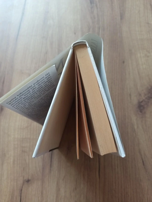 DANIELLE STEEL - Tajemství