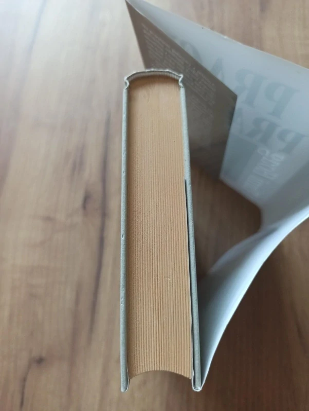 TAMI HOAG - Prach prachu