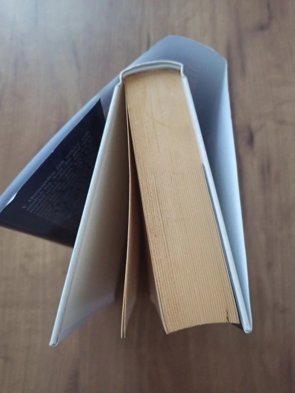 TAMI HOAG - Popel popelu