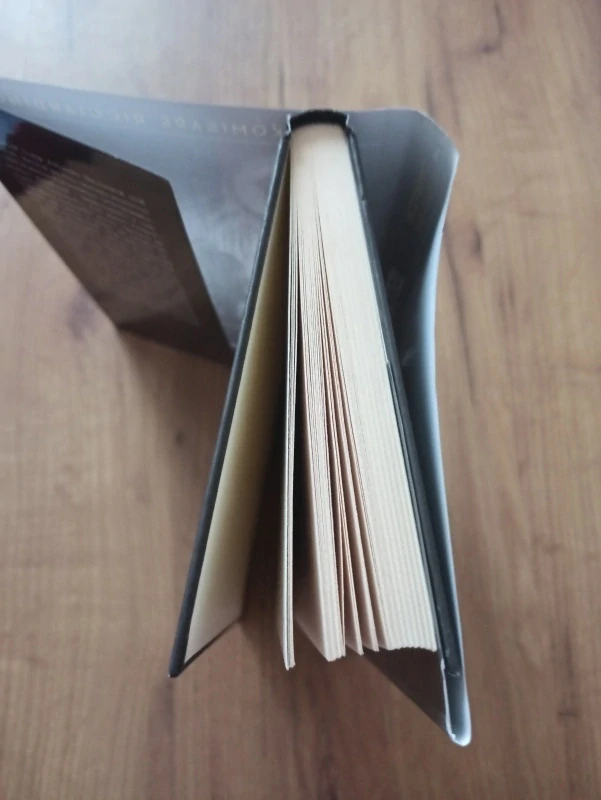 MAURIZIO DE GIOVANNI - Bolest: Zima komisaře Ricciardiho