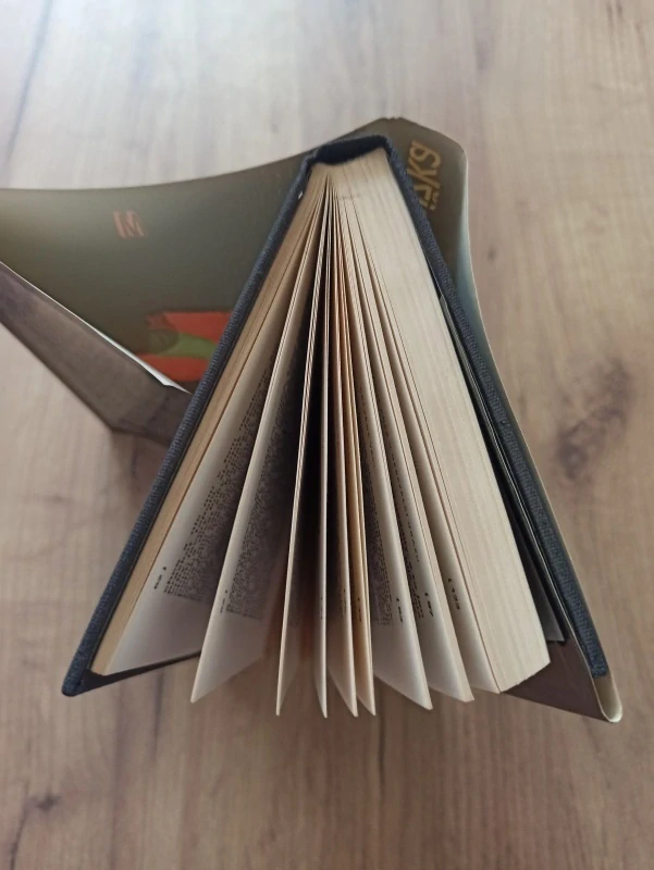 VLADIMÍR PRECLÍK - Dřevěná knížka