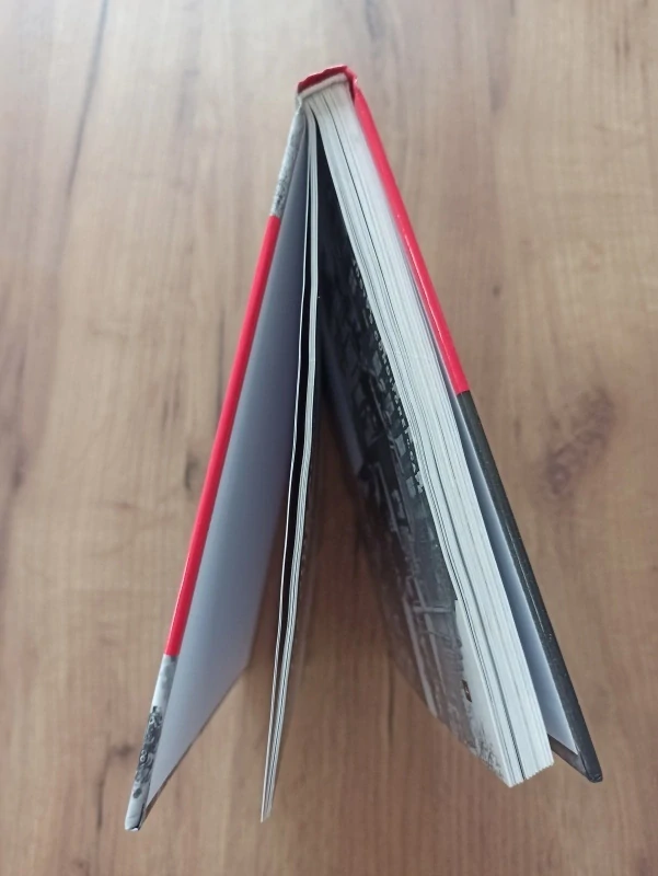 MATTHEW HUGHES, CHRIS MANN - Hitlerovo Německo - život v období Třetí říše