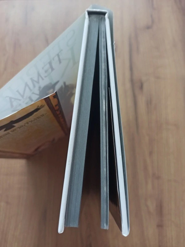 PETER DAVID, STEPHEN KING - Temná věž 1: Zrození pistolníka