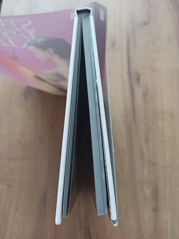 PETER DAVID, STEPHEN KING - Temná věž 3: Zrada