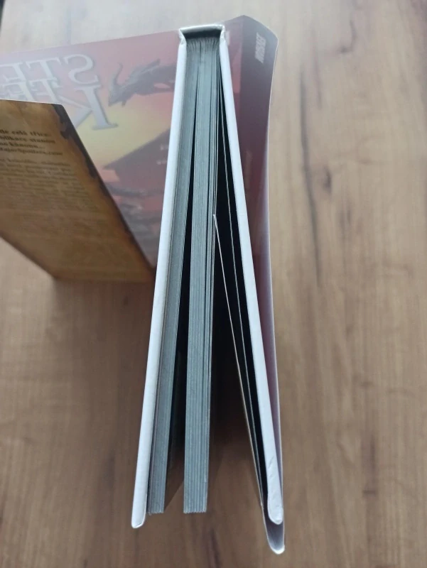 PETER DAVID, STEPHEN KING, ROBIN FURTH - Temná věž 4: Pád Gileadu