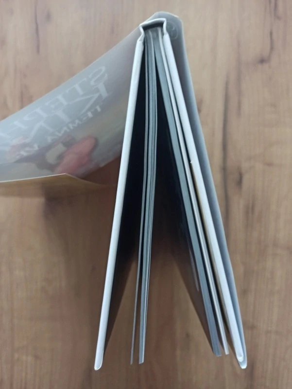 PETER DAVID, STEPHEN KING - Temná věž 10: Pistolník 5: Muž v černém