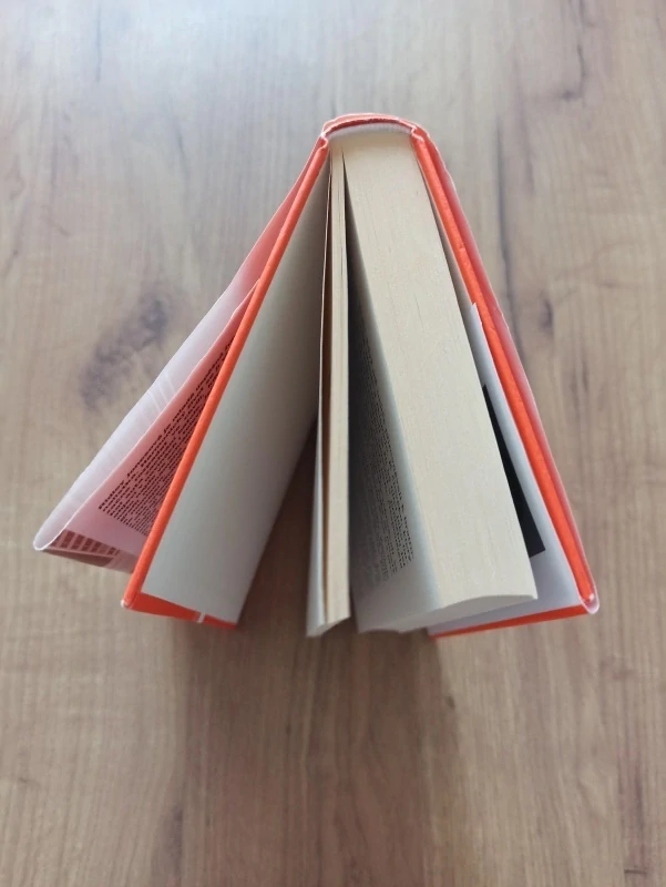 LISA UNGER - Krásné lži