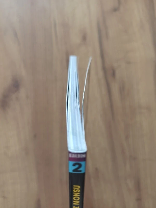 ROBBIE MORRISON - Doctor Who: Desátý Doktor 2. - Plačící andělé z Monsu