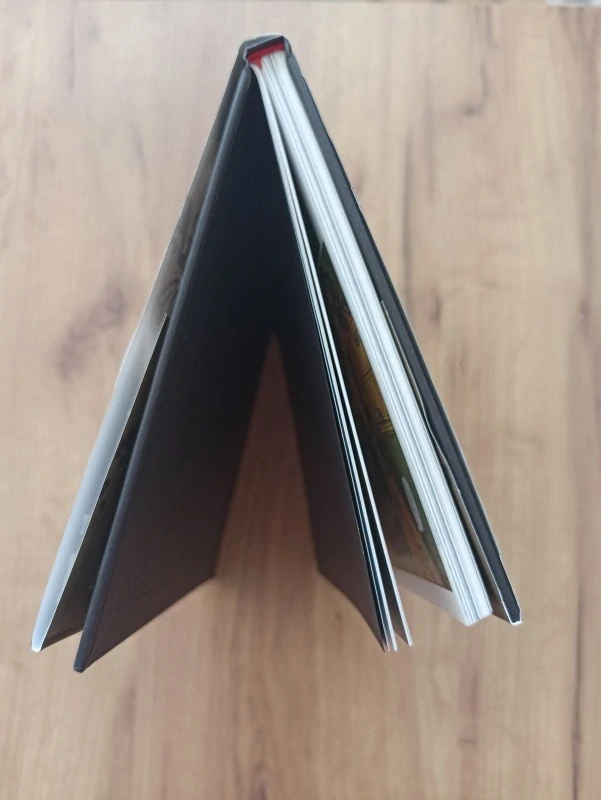 GEOFF JOHNS, RICHARD DONNER - Superman: Poslední syn