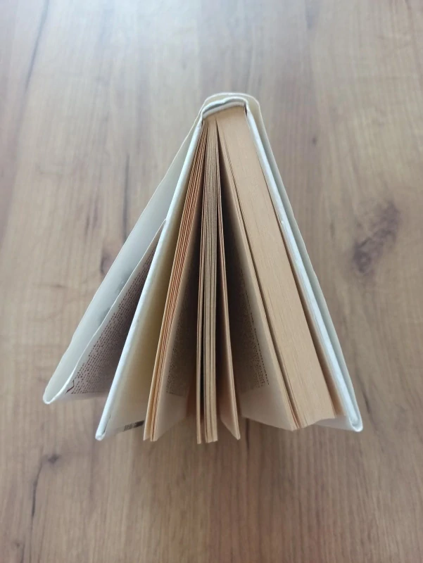 VĚRA NOSKOVÁ - Obsazeno