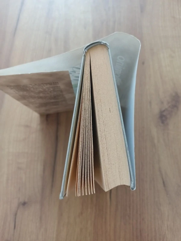 DANIELLE STEEL - Palomino