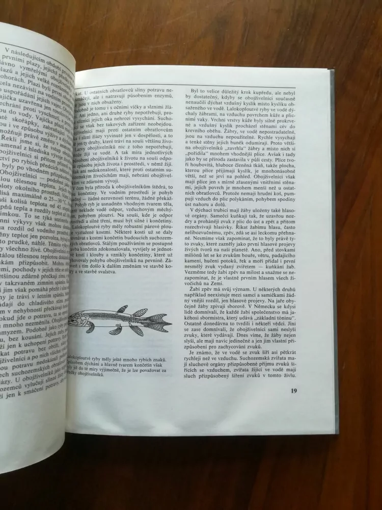 JURIJ DMITRIJEV - Obojživelníci a plazi známí i neznámí, pronásledovaní, chránění