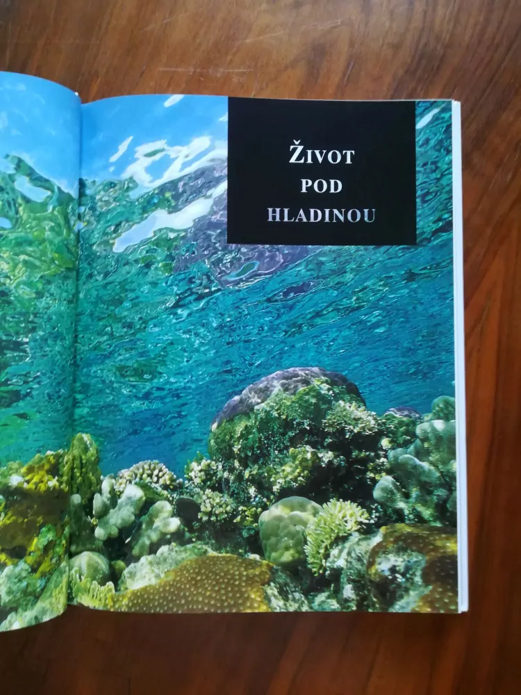 ANNEMARIE KÖHLER, DANJA KÖHLEROVY - Za tajemstvím oceánů: potápění na korálových útesech