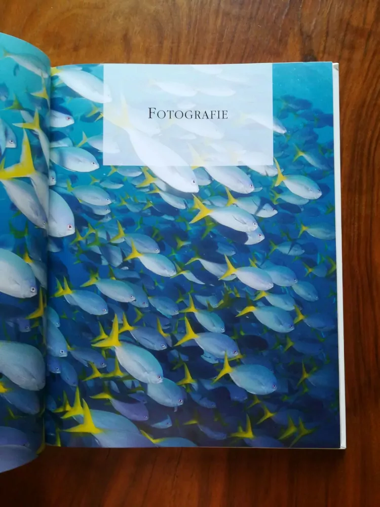 ANNEMARIE KÖHLER, DANJA KÖHLEROVY - Fotografujeme pod hladinou