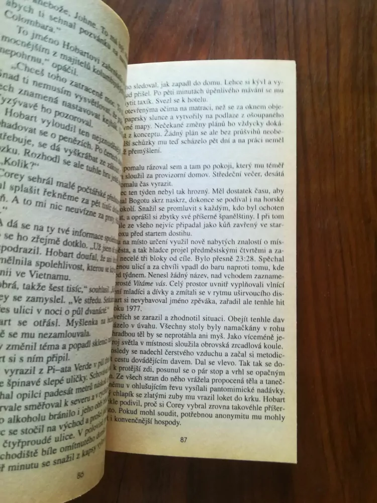 KYLE MILLS - Strach nad městem