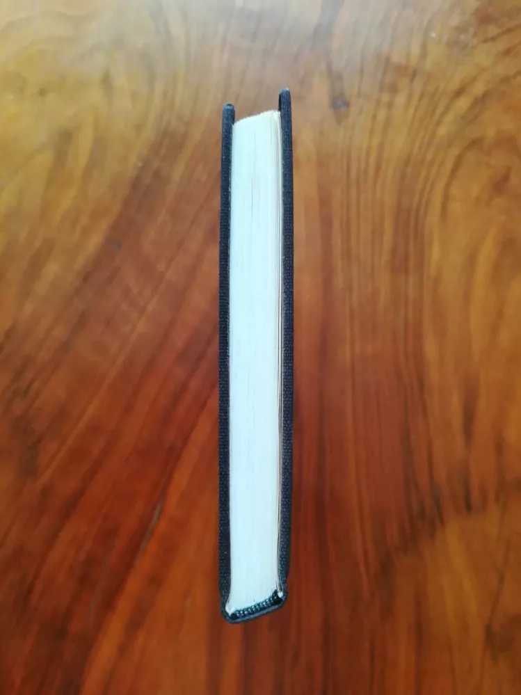 DRAGOMIR ASENOV - Nejtěžší hřích