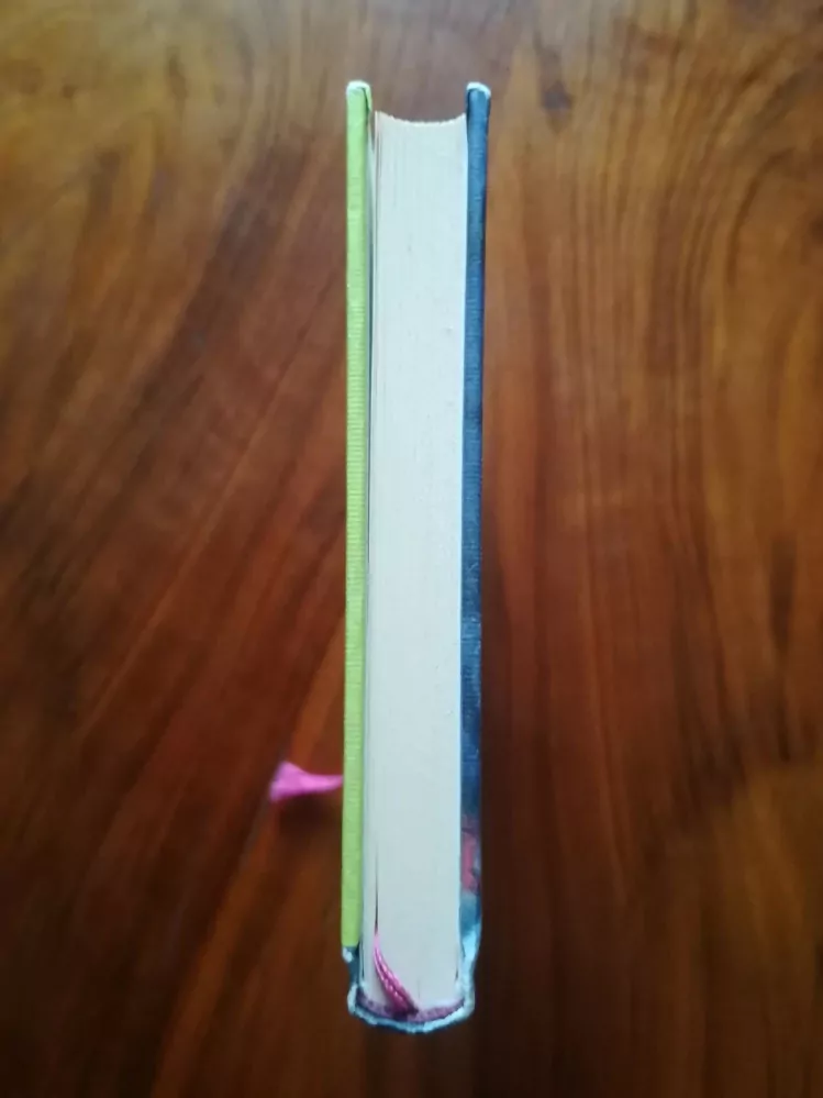 PAVEL BUŠTA - Expres Praha – Radotín