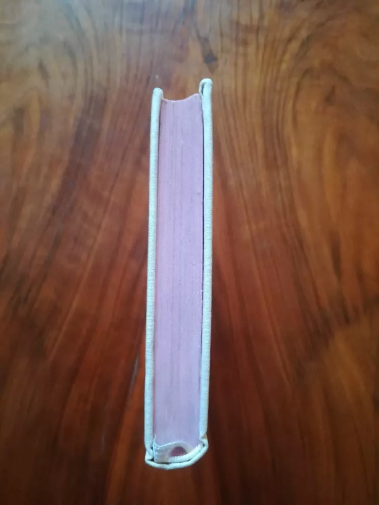 ALEKSANDR IVANOVIČ KUPRIN - Souboj