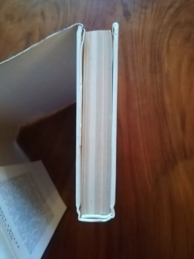 MAX GALLO - Zátoka andělů