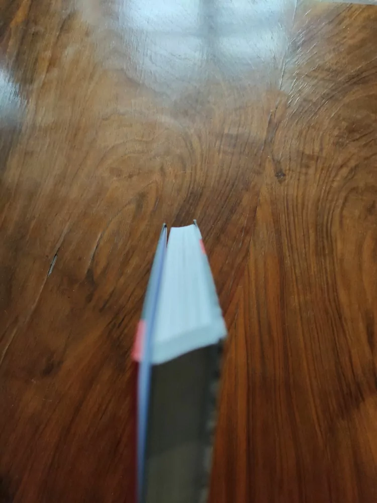 THOMAS ANDERSON - Lovci tanků: Historie Panzerjäger 1939-1942