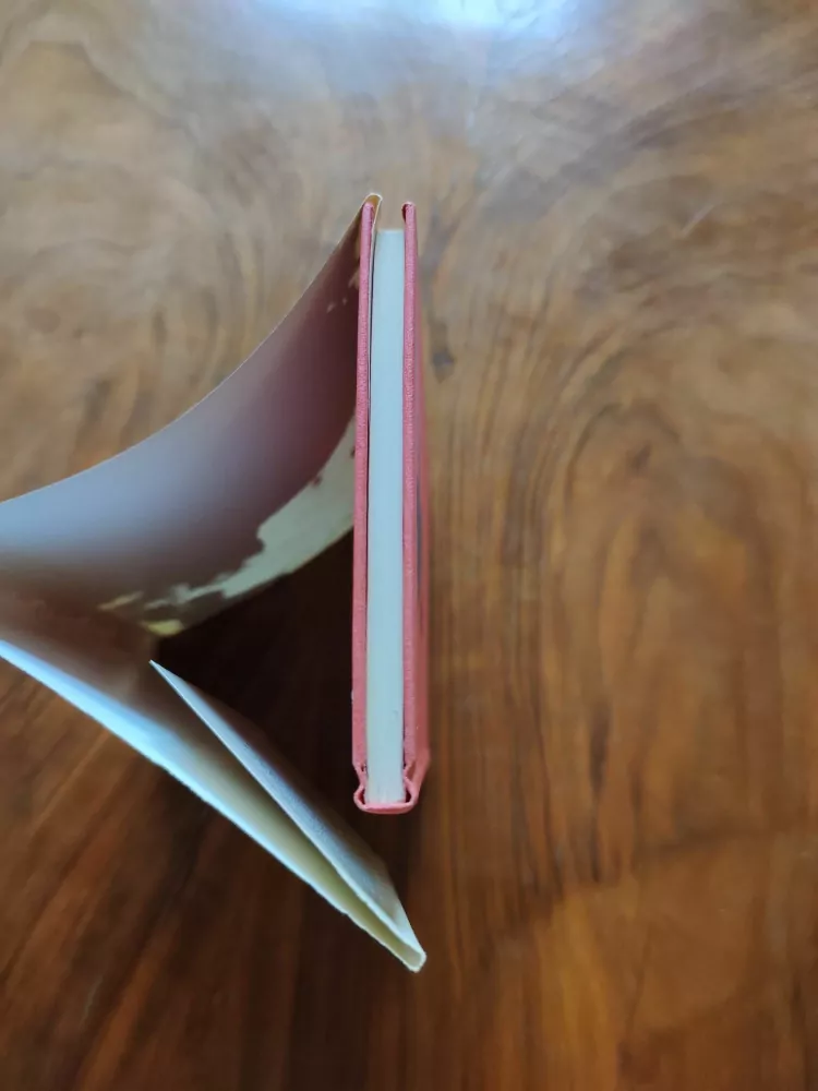 HERVÉ BAZIN - Ohněm proti ohni