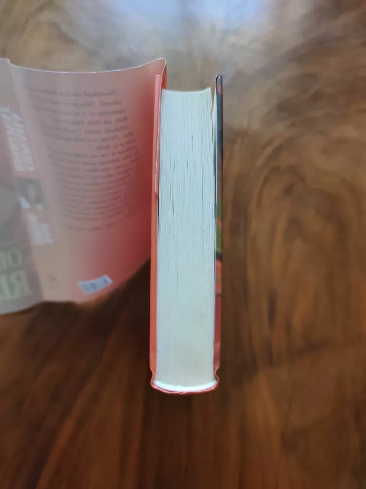 SUSAN LEWIS - Odvaha riskovat